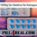 100Mg Kamagra Jelly new15